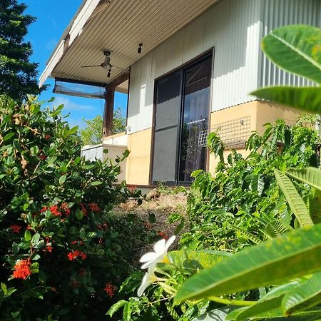 Wompoo Eco Retreat Bed & Breakfast Cow Bay Ngoại thất bức ảnh