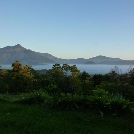 Wompoo Eco Retreat Bed & Breakfast Cow Bay Ngoại thất bức ảnh