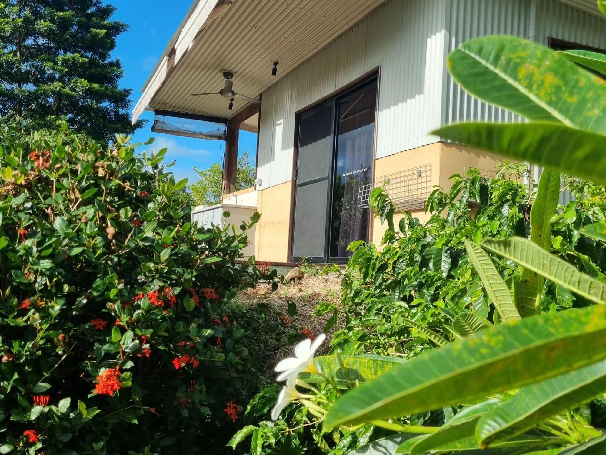 Wompoo Eco Retreat Bed & Breakfast Cow Bay Ngoại thất bức ảnh