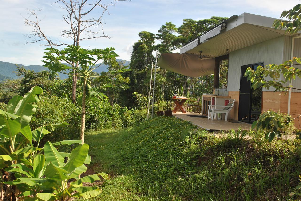 Wompoo Eco Retreat Bed & Breakfast Cow Bay Ngoại thất bức ảnh