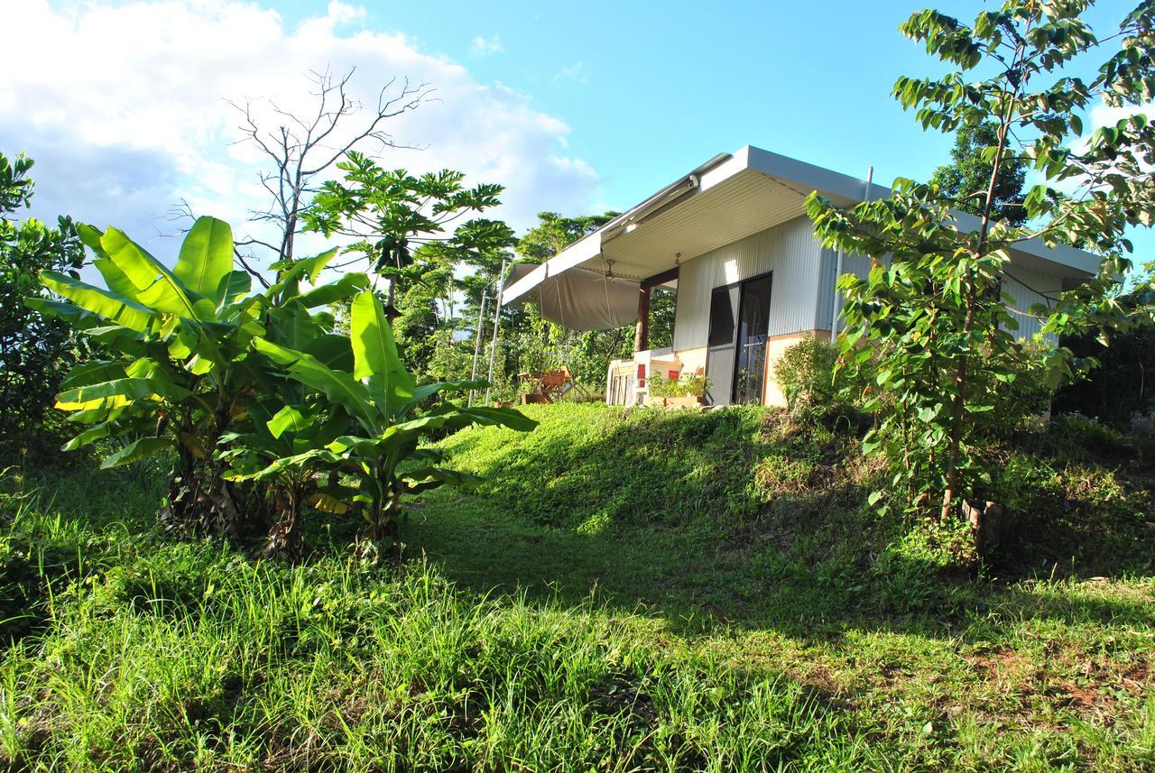 Wompoo Eco Retreat Bed & Breakfast Cow Bay Ngoại thất bức ảnh