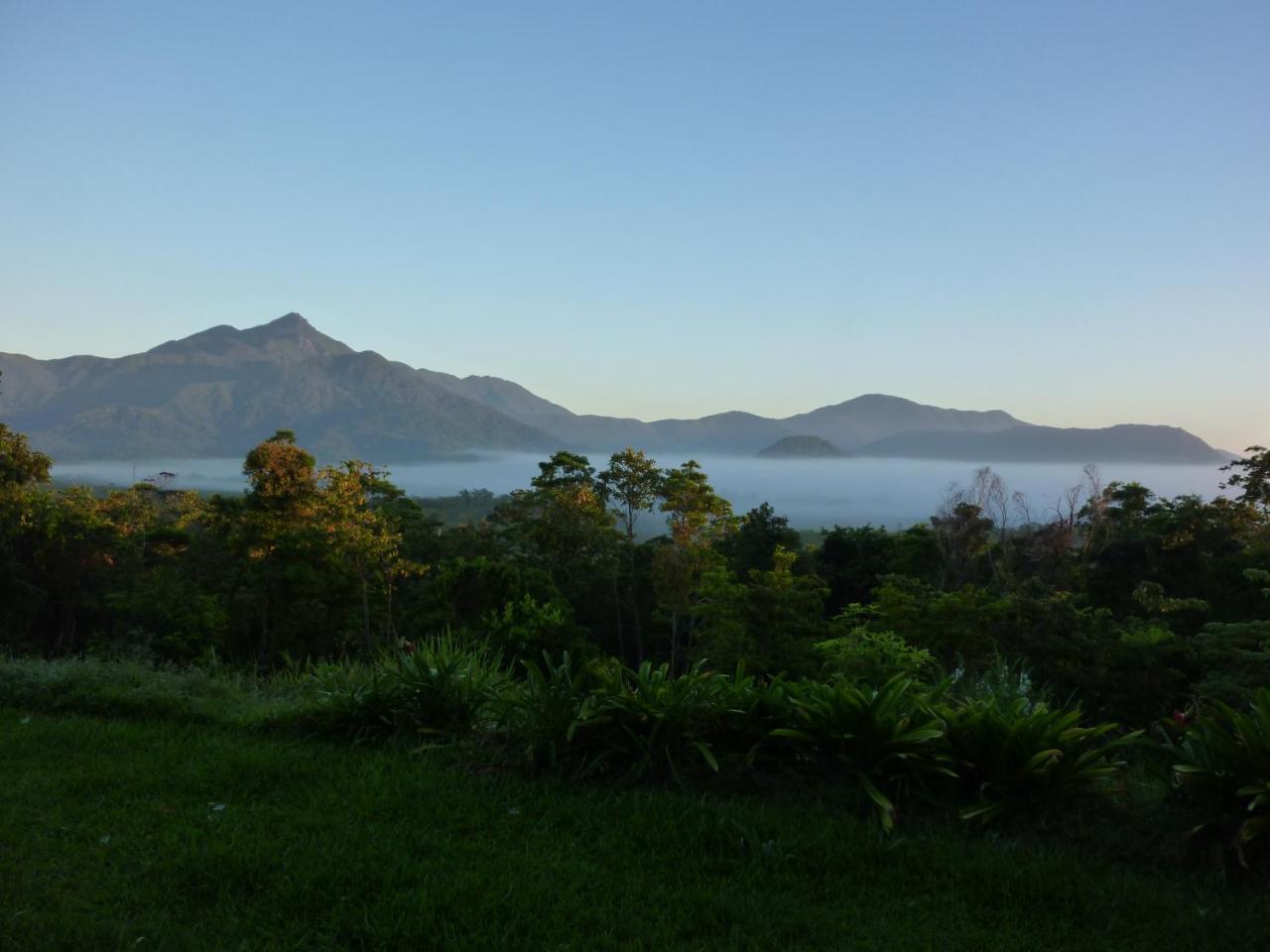 Wompoo Eco Retreat Bed & Breakfast Cow Bay Ngoại thất bức ảnh